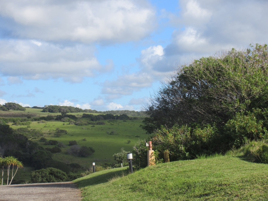 0 Bedroom Property for Sale in Forest Downs Eastern Cape